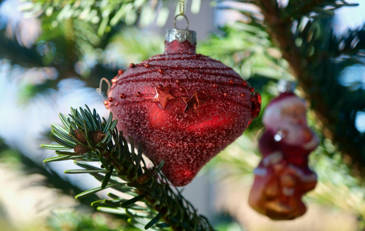 The Joys of a Flocked Artificial Christmas Tree and Community Gardening