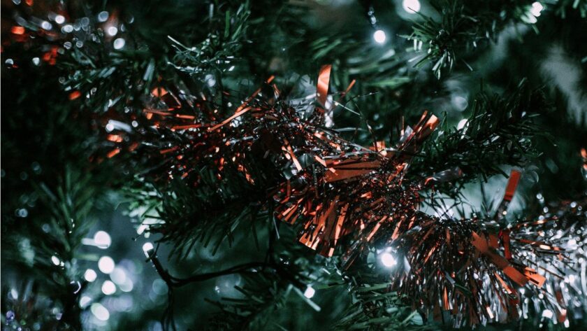 Tiny Wonders: Table Top Christmas Trees